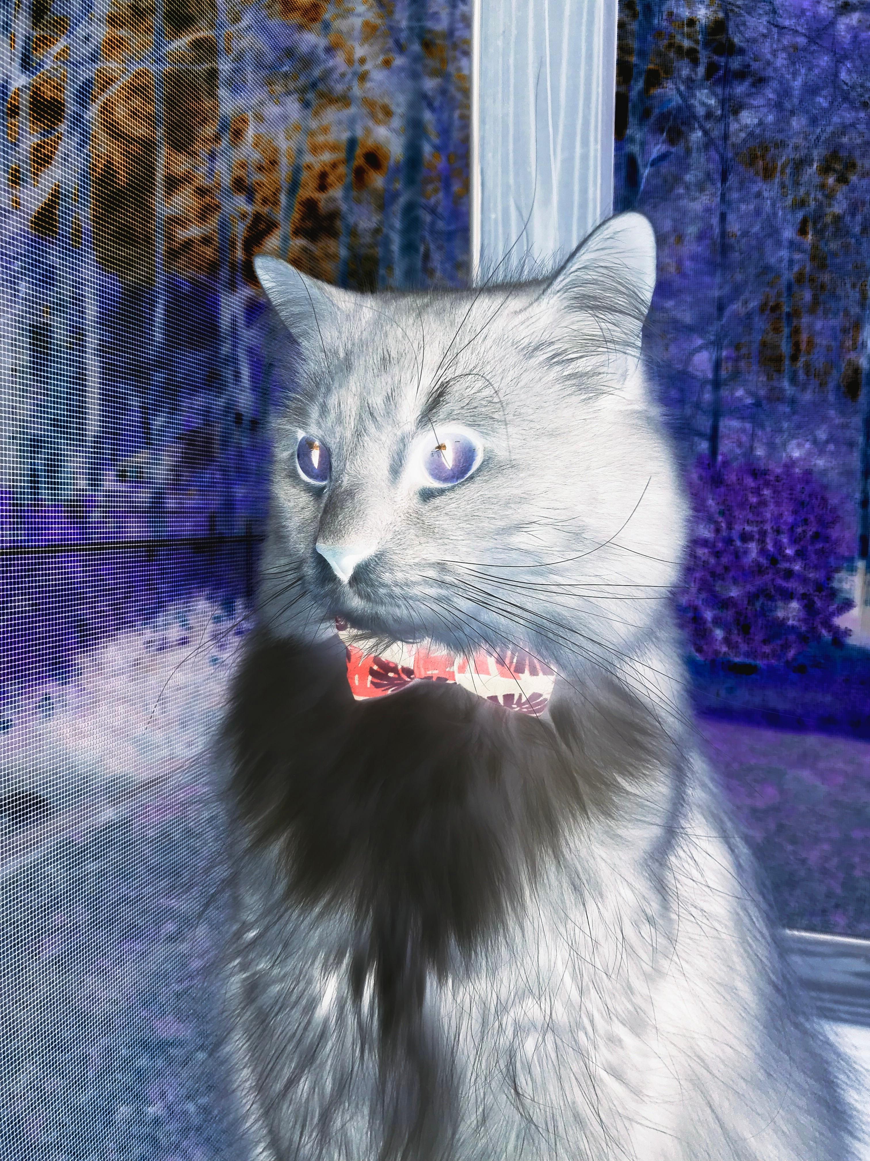 开云体育在线入口-掘金二队击败G联赛冠军队，替补潜力获肯定，掘金队战绩