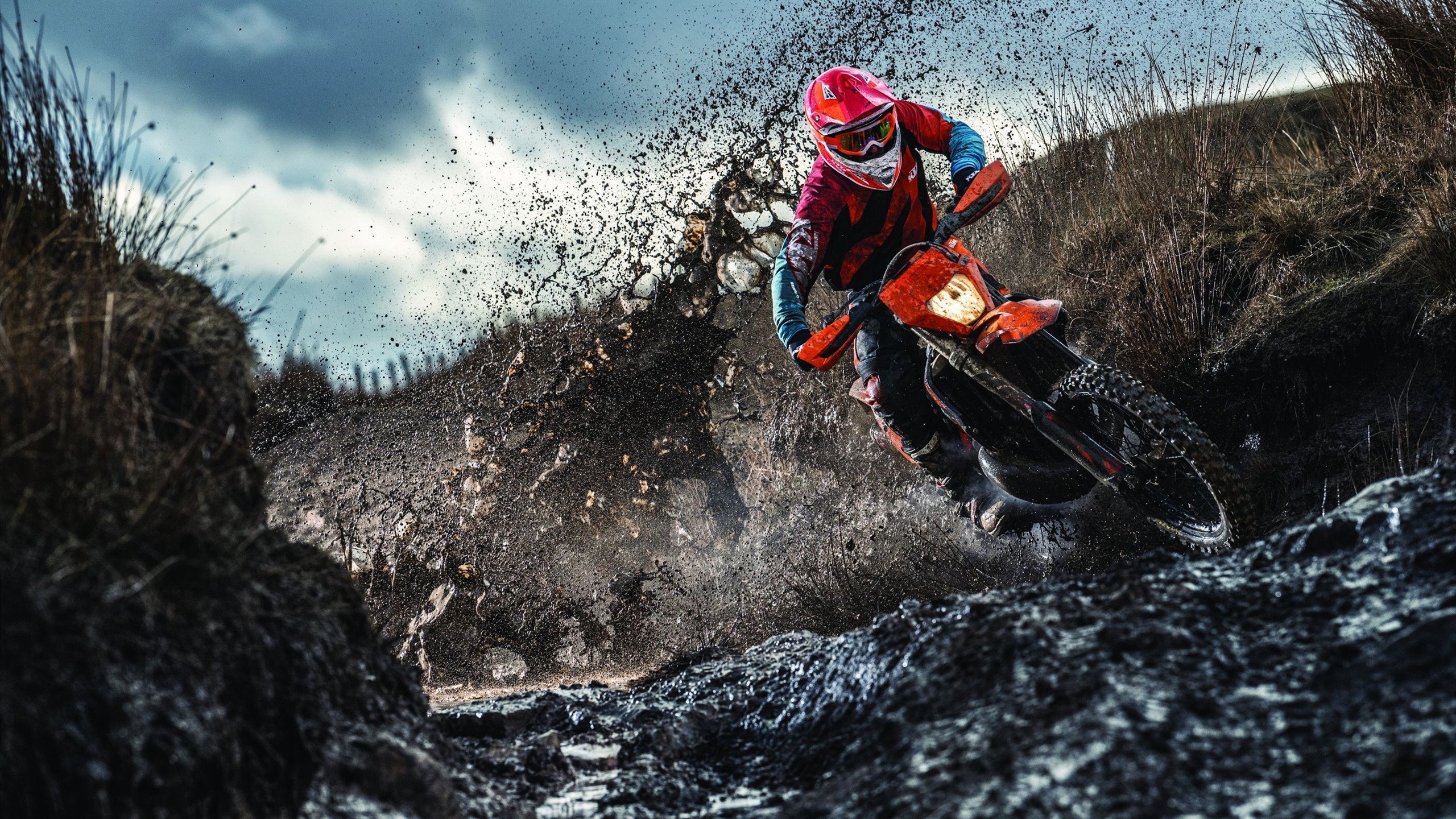 开云注册-“霍斯特的稳定发挥让南非羚羊队防守如铁壁”