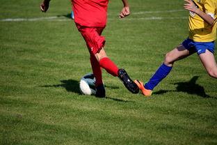 kaiyun登录入口-国家女篮训练日程公开每日训练内容紧张高效，国家队女篮在哪里训练